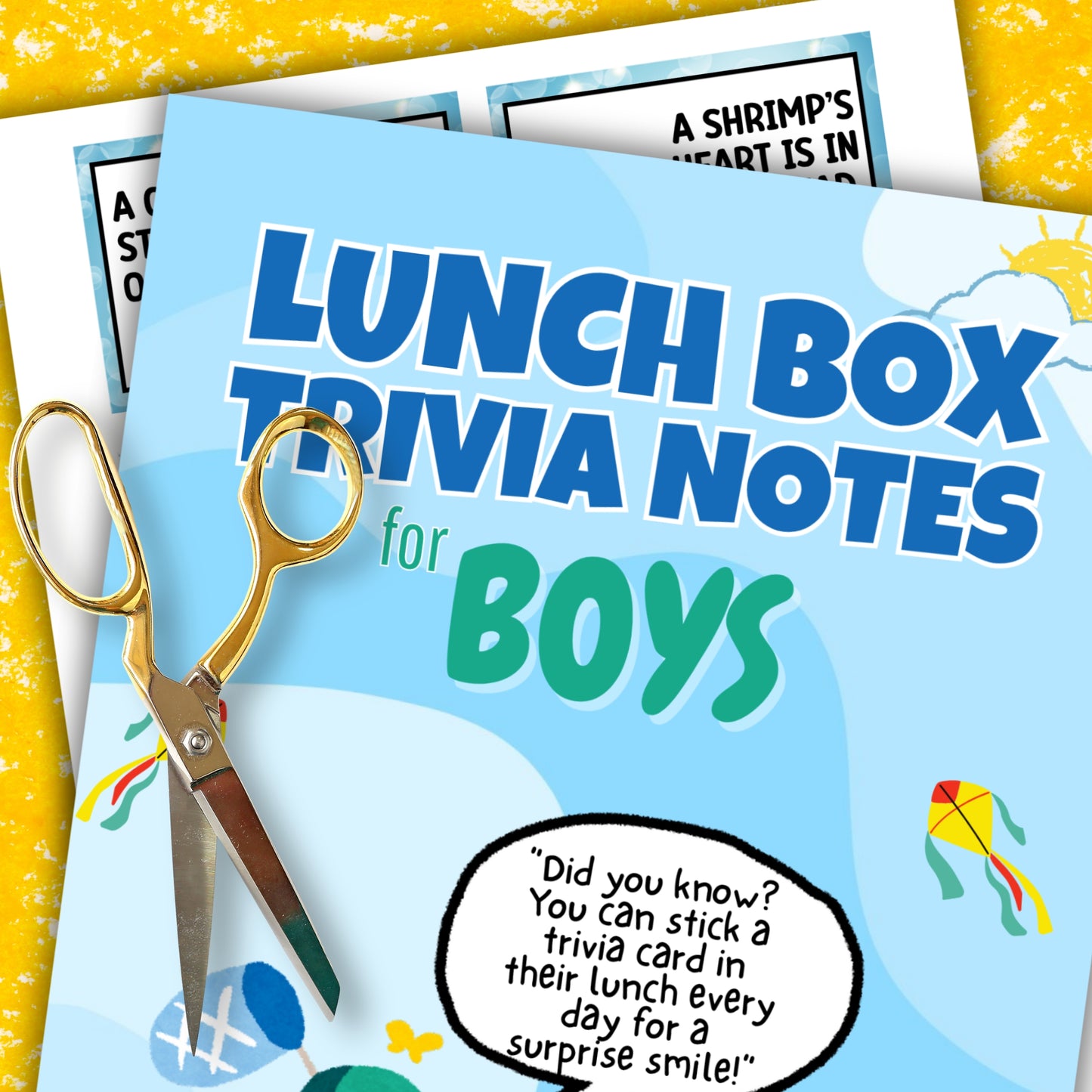 Lunch Box Trivia Cards For BOYS