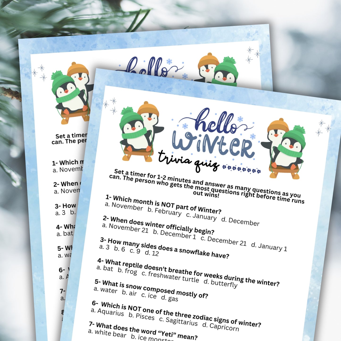 Winter Trivia Bundle